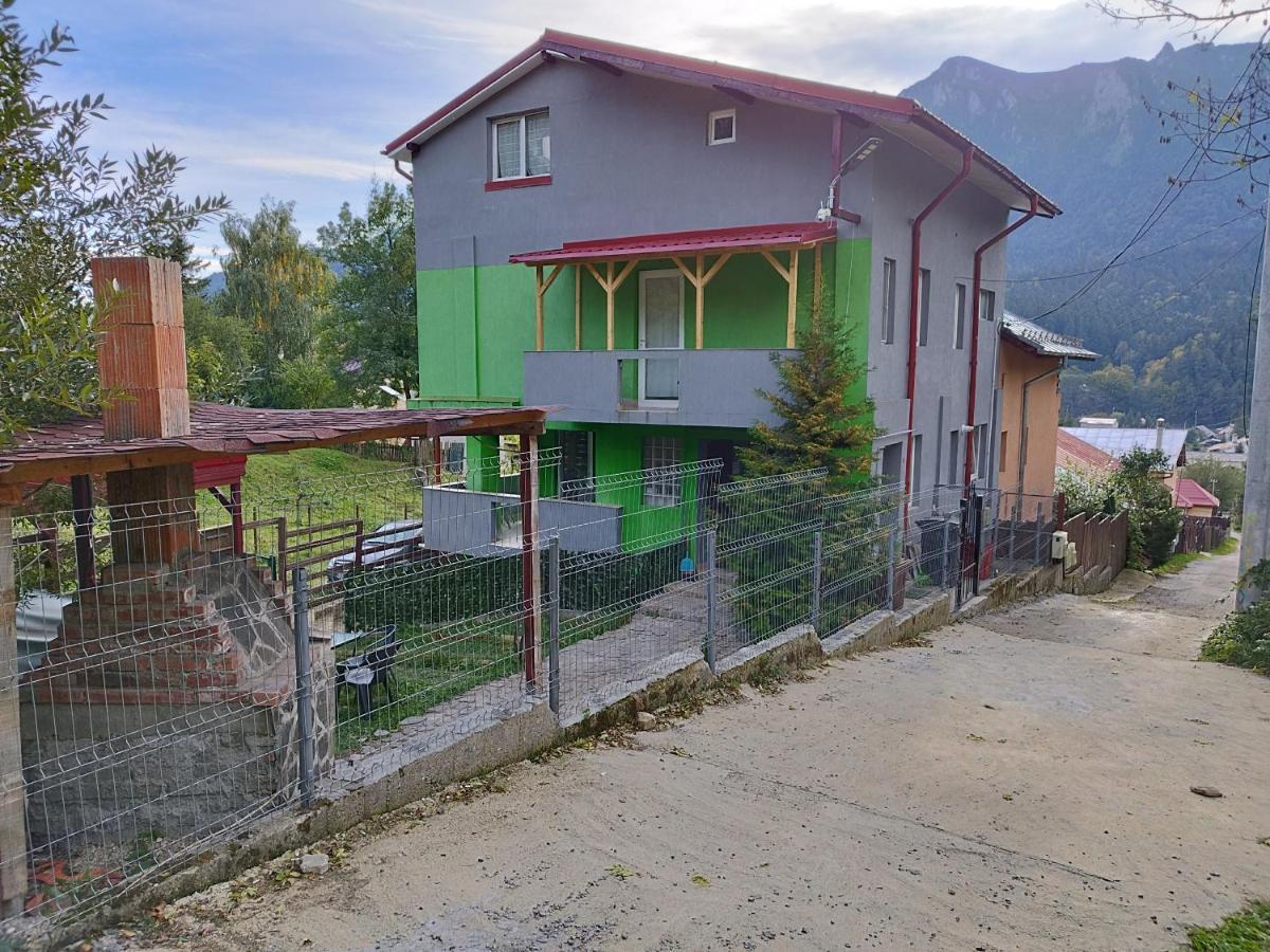 Vila Cri Cri Buşteni Eksteriør bilde