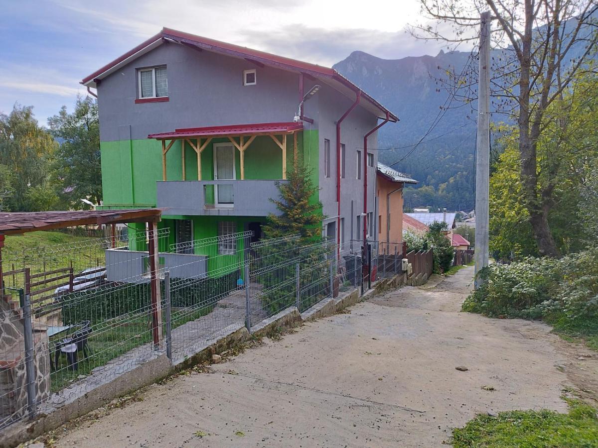 Vila Cri Cri Buşteni Eksteriør bilde