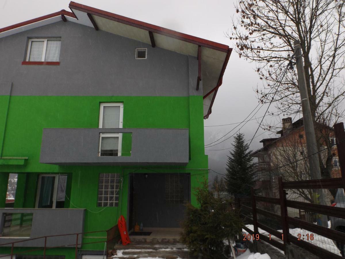 Vila Cri Cri Buşteni Eksteriør bilde